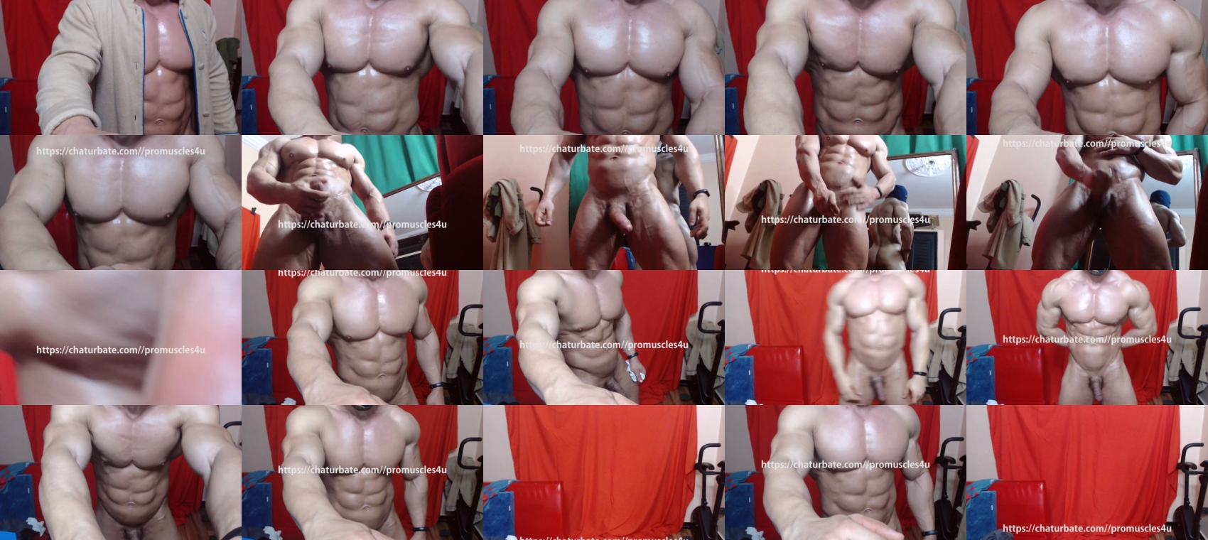 promuscles4u  04-03-2022